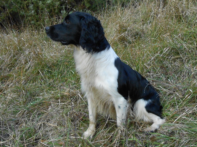 Heliot Du puits lachaud