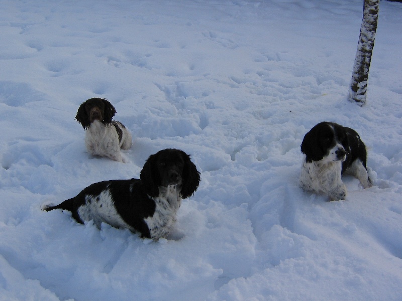 nos filles dans la neige