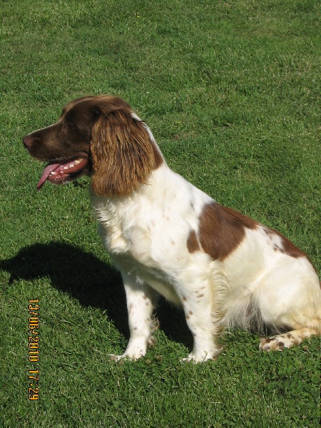 EMMIE